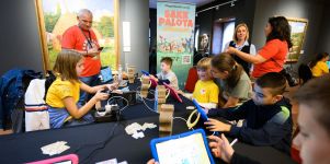 s nemzetkozi sakkfesztival