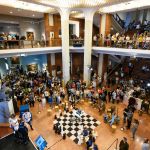 s nemzetkozi sakkfesztival